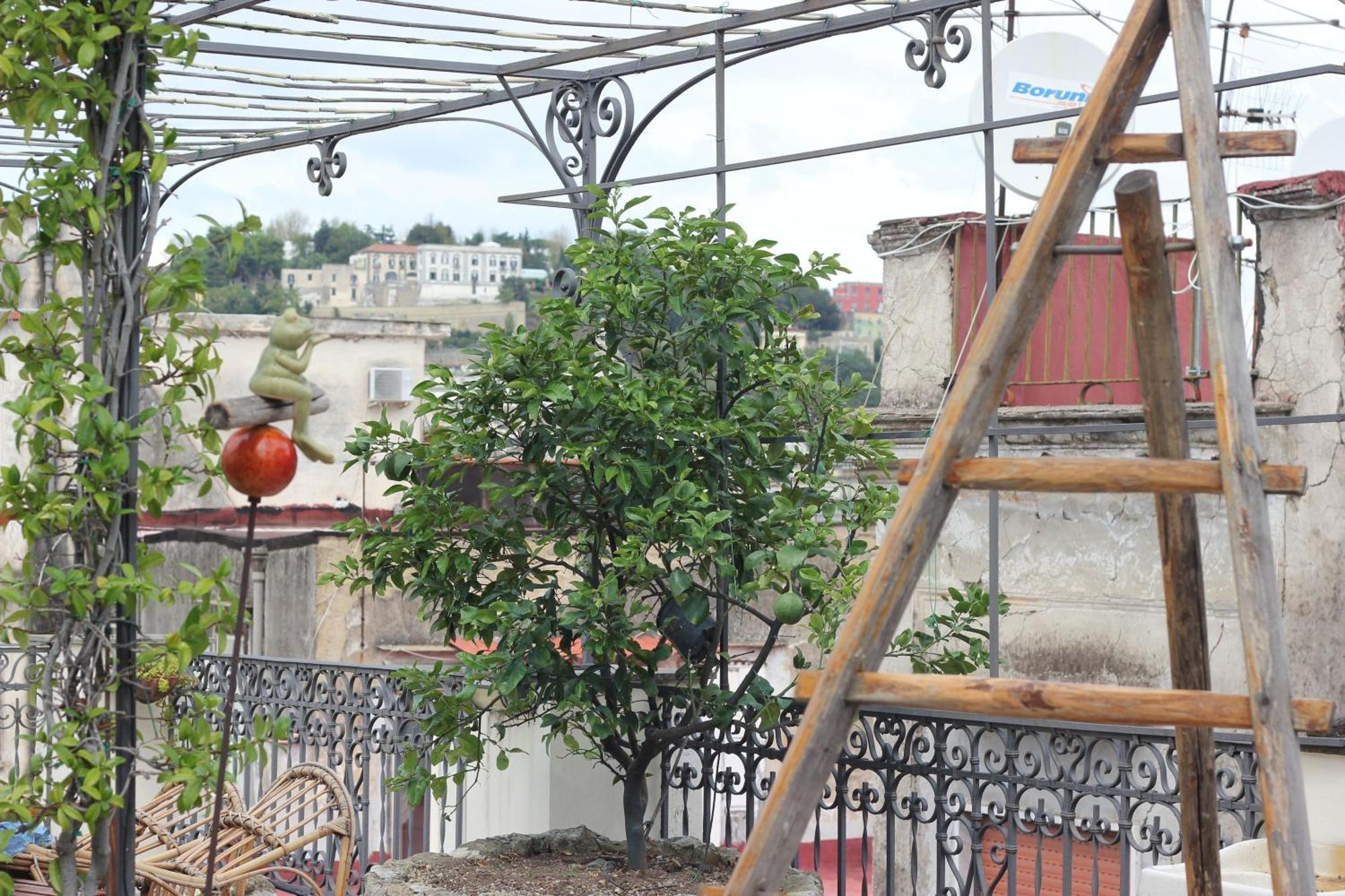 Appartement Lemon Tree Terrace à Naples Extérieur photo